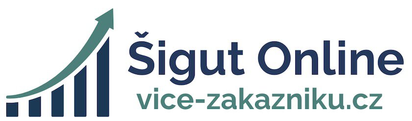 Šigut Online - získejte více zákazníků z internetu